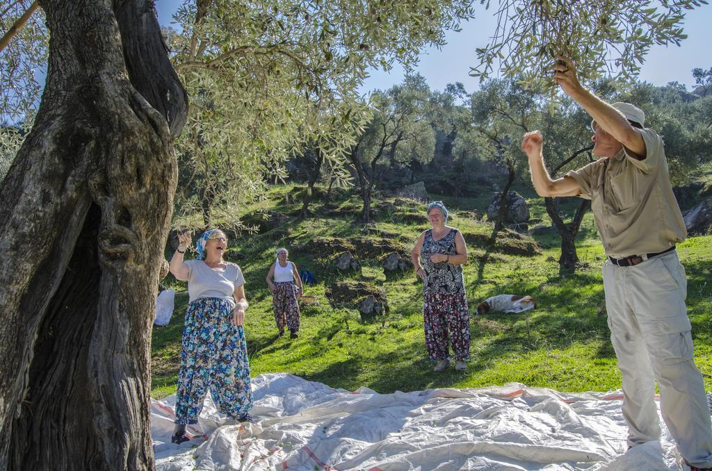 Agora Pansiyon Kapikiri Bagian luar foto